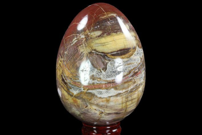 Colorful, Polished Petrified Wood Egg - Triassic #92414
